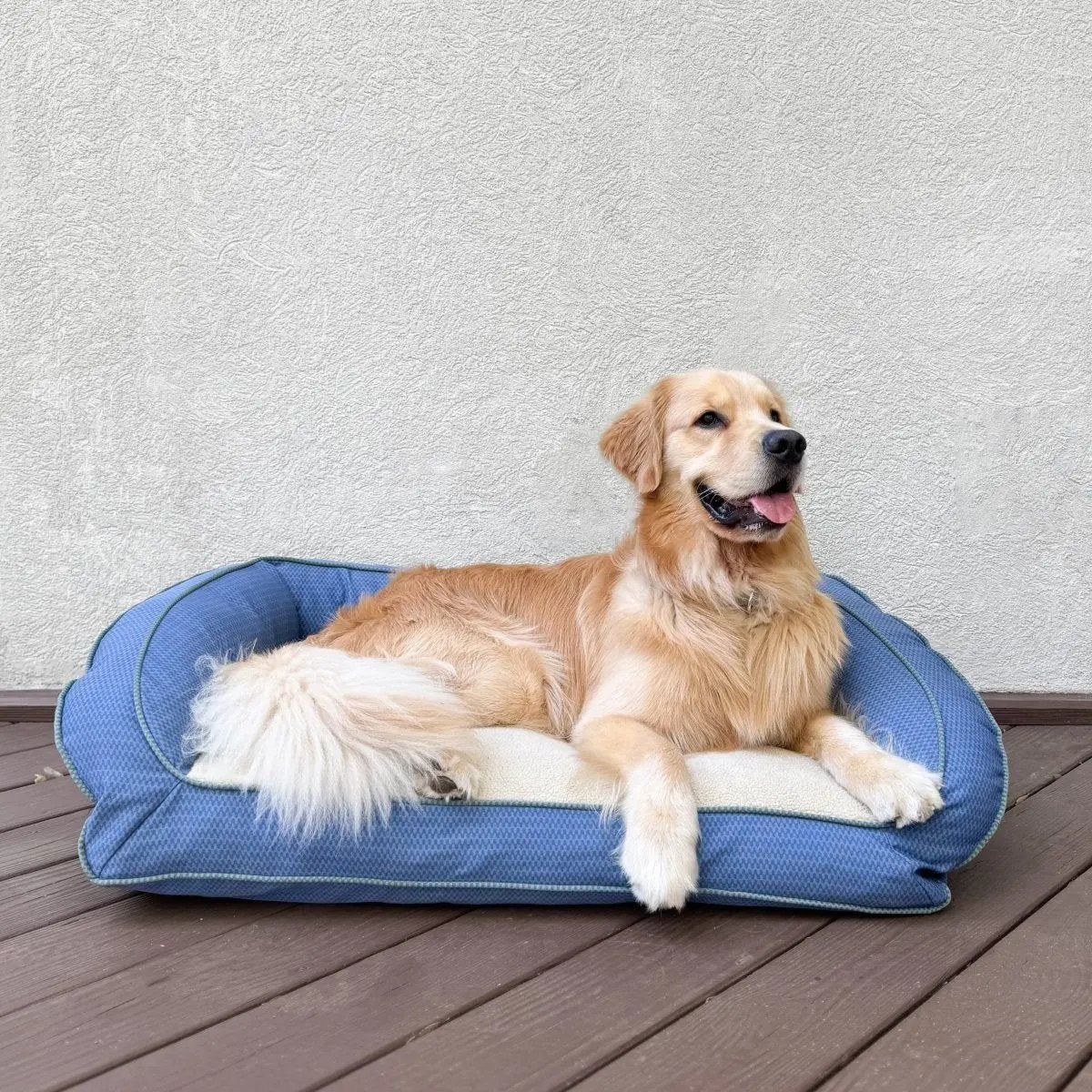 GreenDog Checkered Wave Bolster Bed