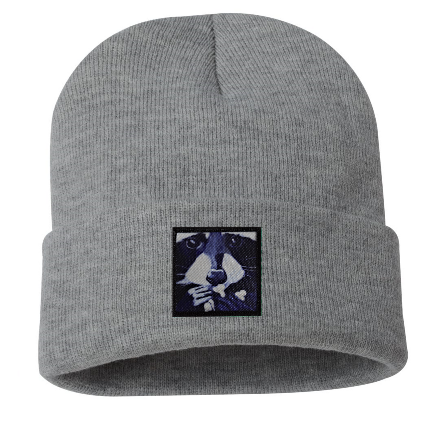 Raccoon Pop Beanie