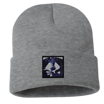 Raccoon Pop Beanie