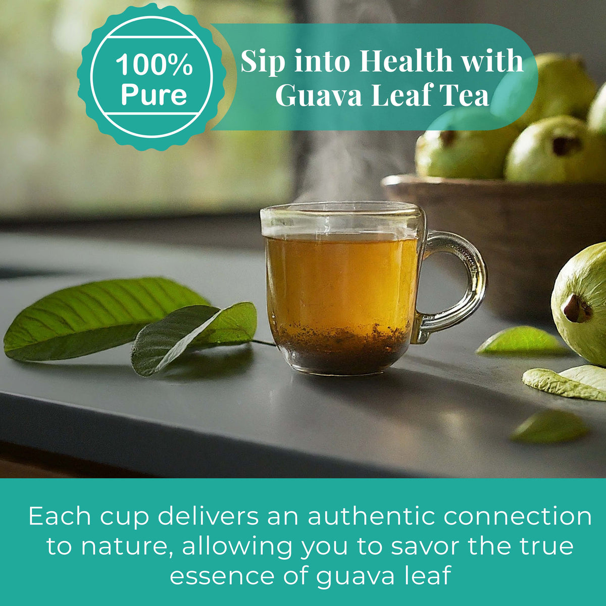 Dried Guava Leaves 2.6 oz – Loose Leaf Herbal Tea | Akshit