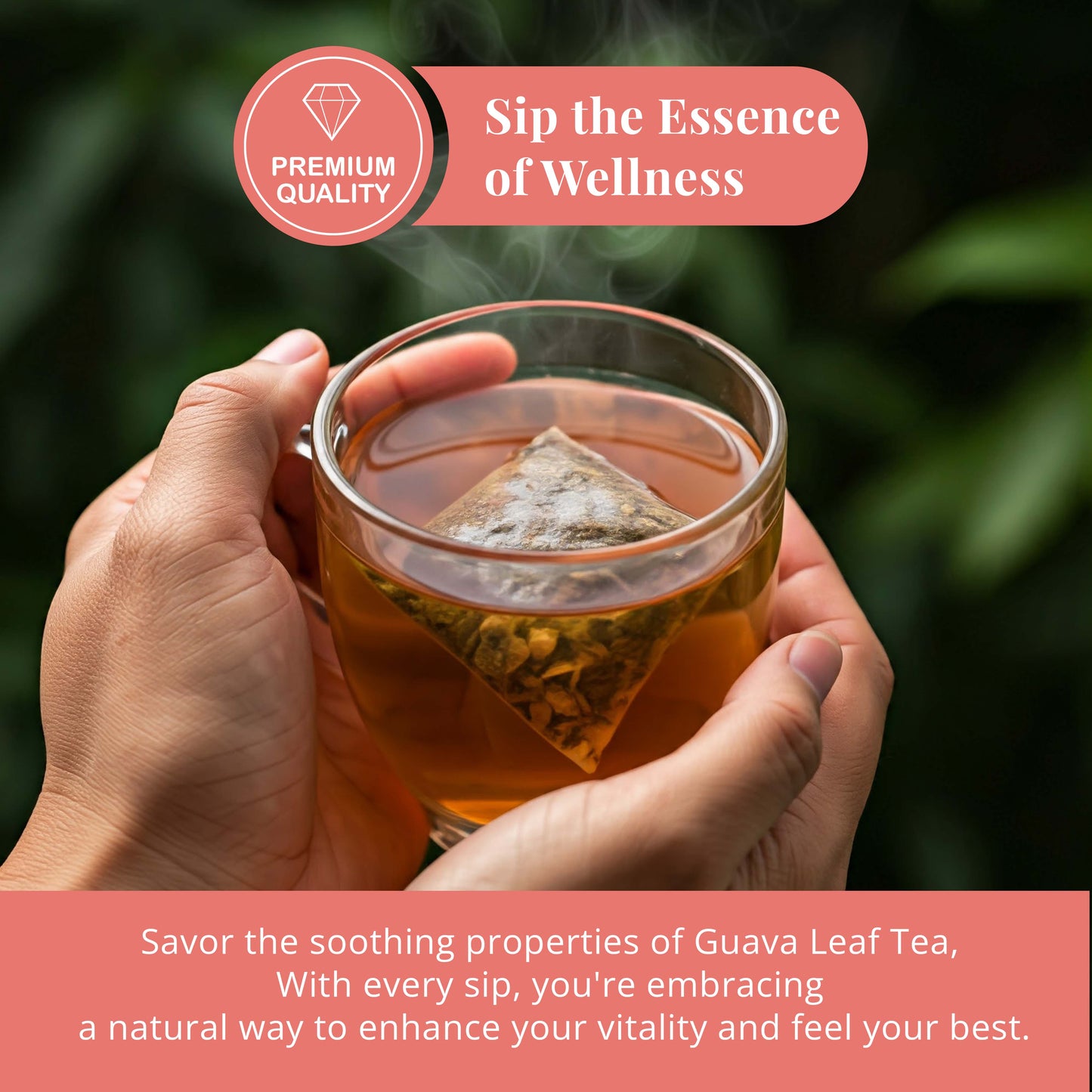 Guava Leaf Tea - 50 Bags, 100% Pure Guava Leaves (Té De Hoja de Guayaba ) Stress Relieving, Herbal Tea- Non-GMO, Vegan, Caffeine-Free
