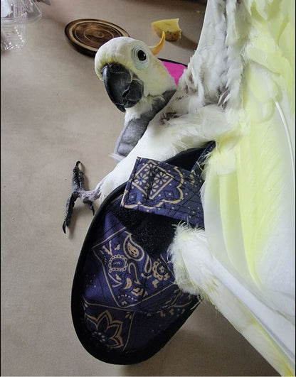 Hen Holster Bird Diaper/Harness (chicken diaper, duck diaper, pigeon diaper with Removable Vinyl Liner) - Triathlete Store