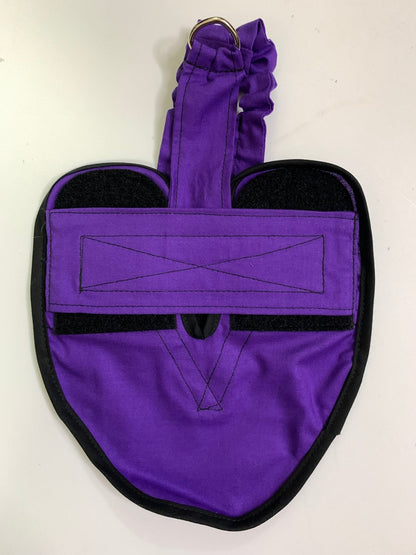 Hen Holster Bird Diaper/Harness (Hand-Made in USA) with Removable Vinyl Liner