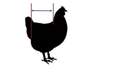 Hen Holster Bird Diaper/Harness (chicken diaper, duck diaper, pigeon diaper with Removable Vinyl Liner) - Triathlete Store