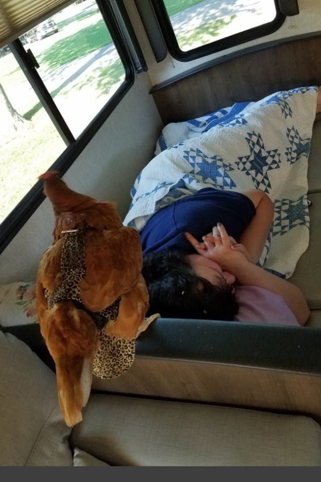 Hen Holster Bird Diaper/Harness (chicken diaper, duck diaper, pigeon diaper with Removable Vinyl Liner) - Triathlete Store