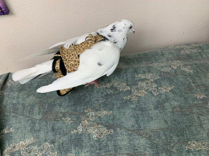 Hen Holster Bird Diaper/Harness with Permanent (Sewn-in) Liner