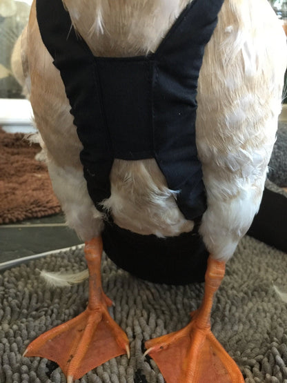 Hen Holster Waterfowl Diaper with Removable Liners
