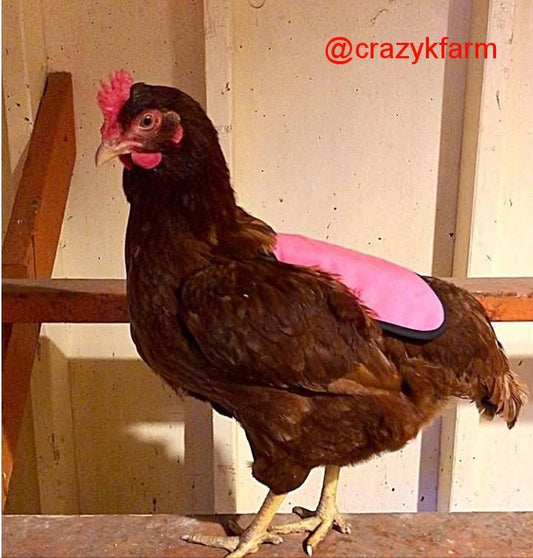 Hen Saver Hen Apron/Saddle (Made in USA)
