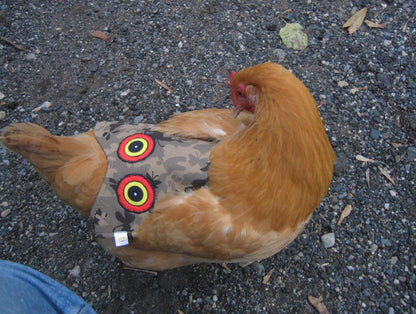 Hen Saver Hen Apron/Saddle (Made in USA)