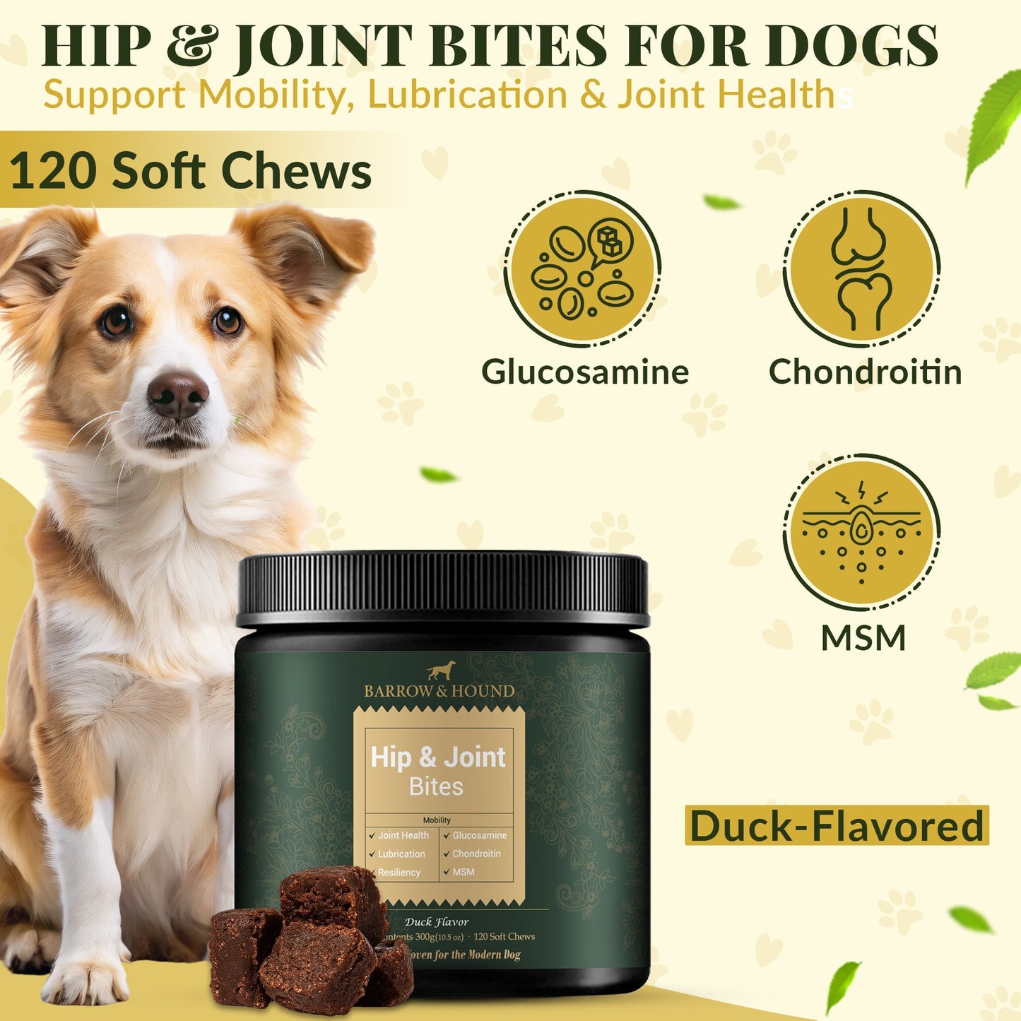 Hip & Joint Supplement for Dogs – Mobility Support for All Breeds