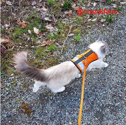Holster Leash (Made in USA)