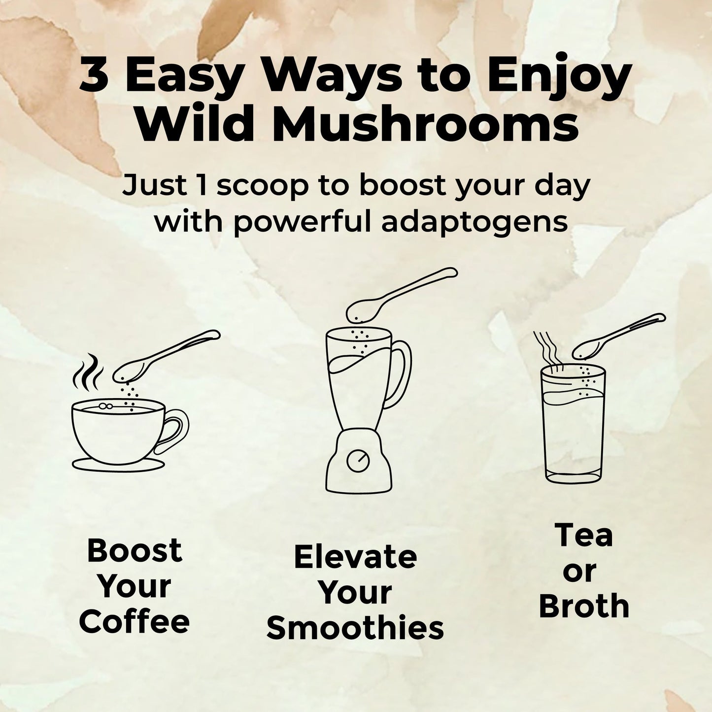Wholesale case of 12 - Shroom #4 Lion's Mane Mushroom Extract