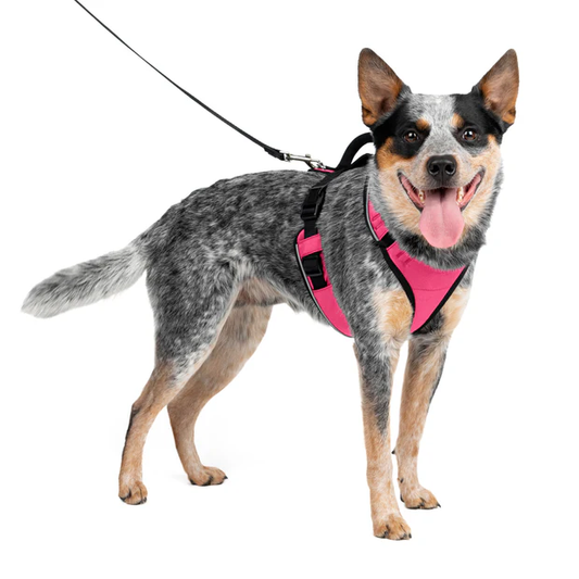 Petsafe Easysport Harness Pink Md