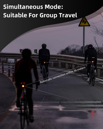 Bike Tail Light Brake Sense USB-C
