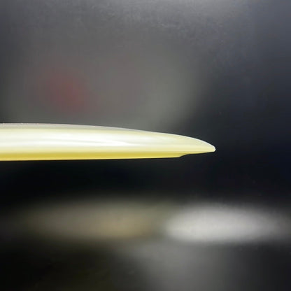 Champion Glow Tern