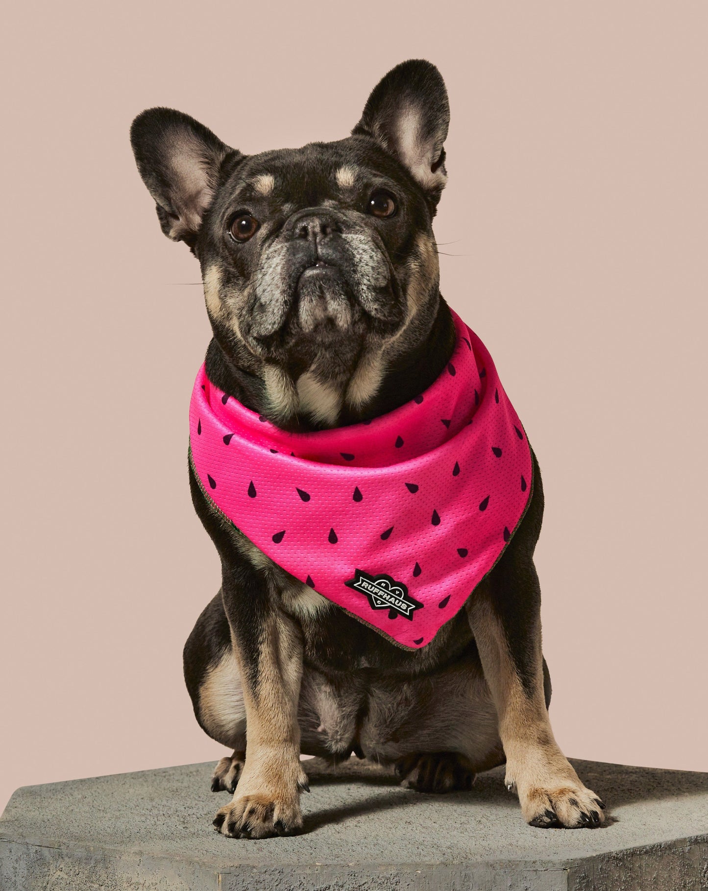 What-A-Melon Cooling Bandana