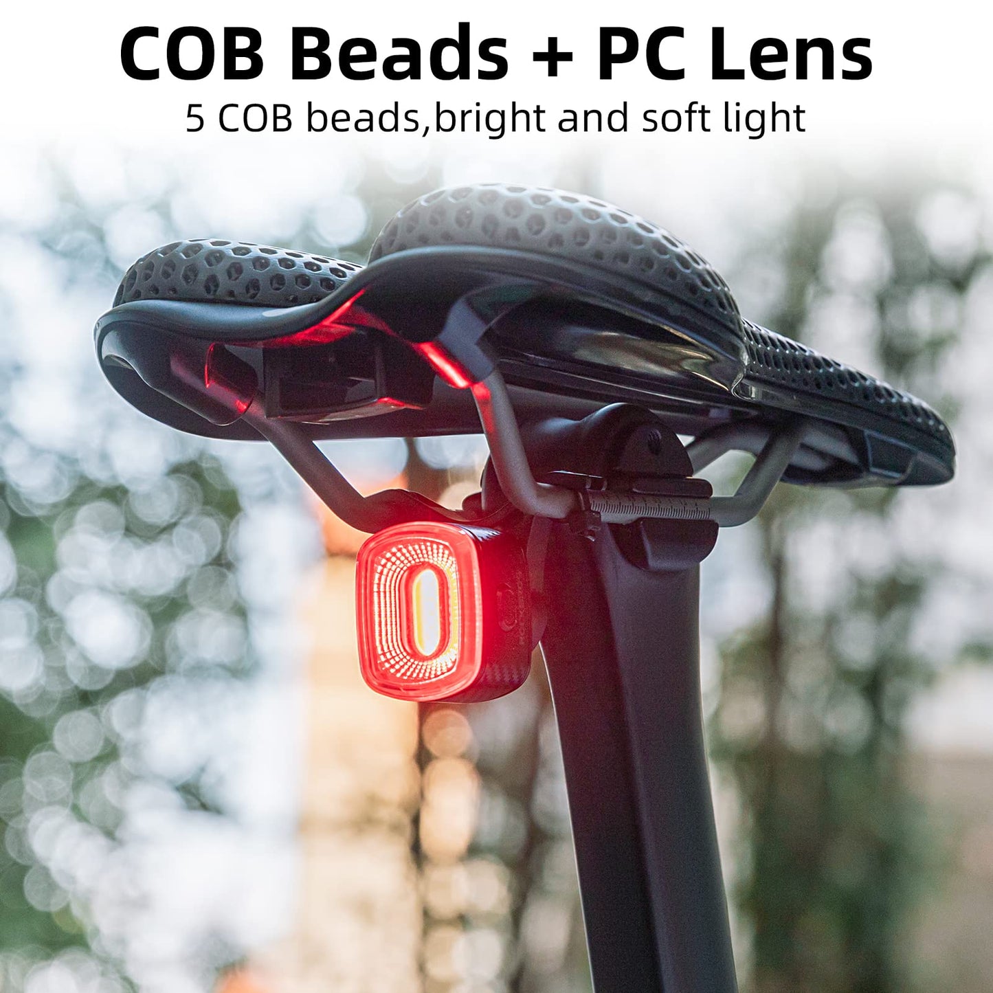 R2 Tail Light Brake Sense USB-C