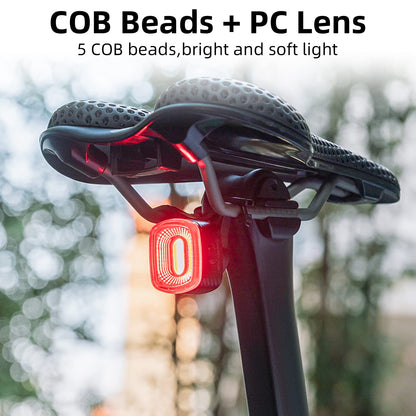 R2 Tail Light Brake Sense USB-C