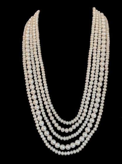 NS232 Afra freshwater pearl necklace ( SHIPS IN 4 WEEKS )