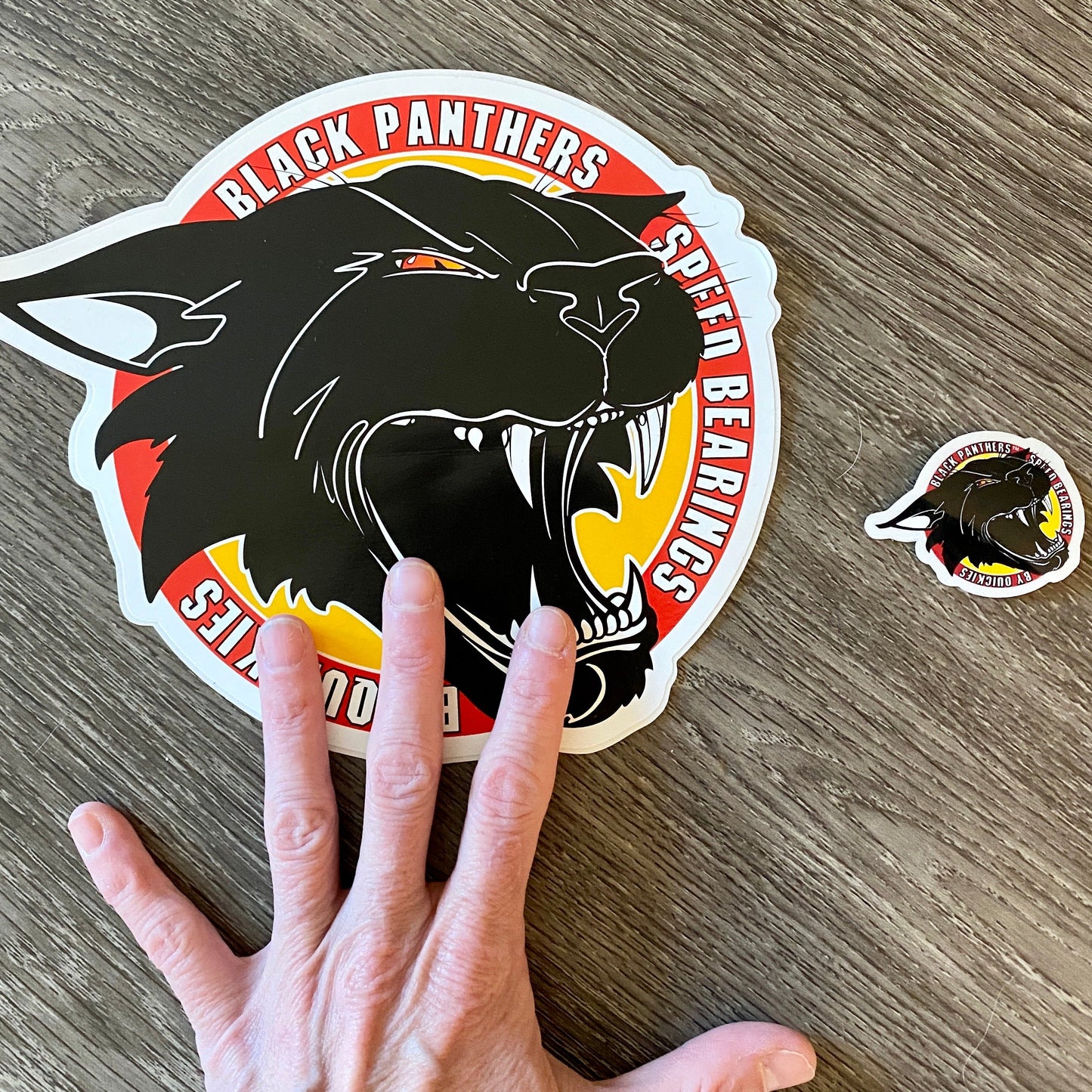 Black Panthers VINTAGE Sticker 2” or 9”