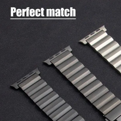 Titanium Silver Apple Watch Band Connector/Adapter