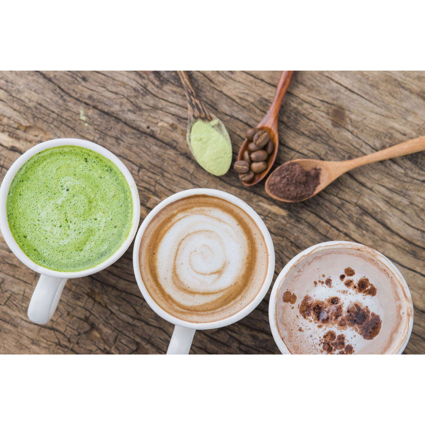 Wholesale Wild Cocoa Powder - Organic, Single-Origin, Small farms