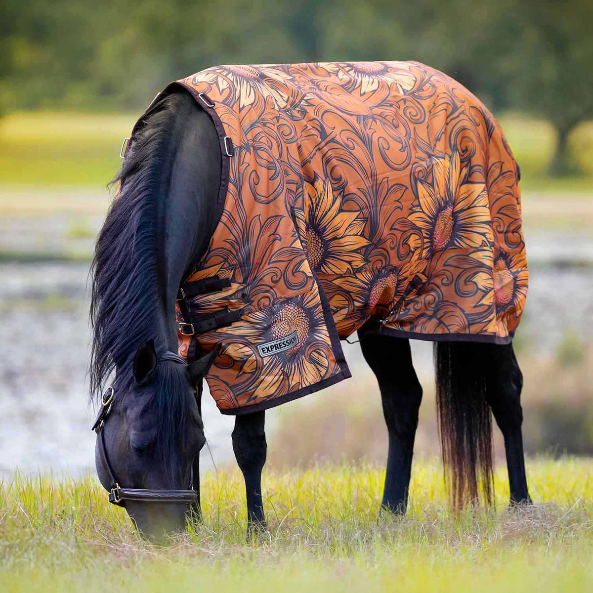 Jeffers Expression 1200 Denier Standard Neck Horse Turnout Sheet, 0 Gram