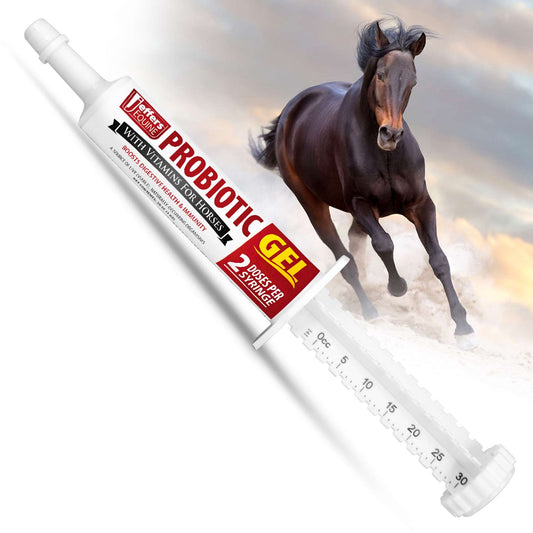 Jeffers Probiotic Gel for Horses, 2 Dose Syringe