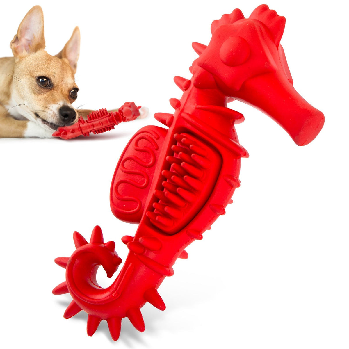 Jeffers Red Seahorse Natural Rubber Dog Chew Toy with Vanilla Scent and Textured Ridges for Dental Health