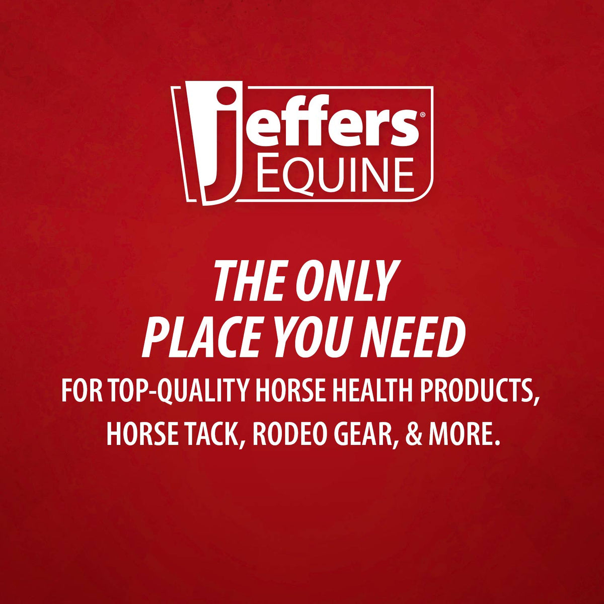 Jeffers Equine Menthol Cooling Shampoo for Horses