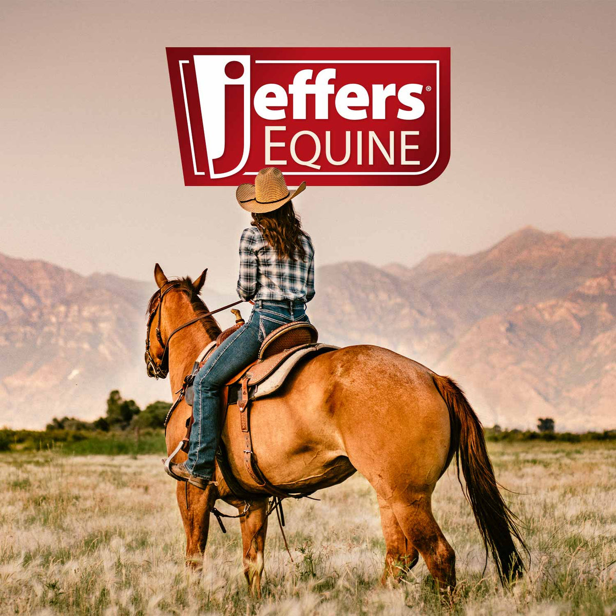 Jeffers Padded Nylon Horse Halter with Throat Snap