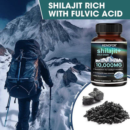 Himalaya Pure Shilajit Capsules – Enriched with Fulvic Acid & 85+ Trace Minerals