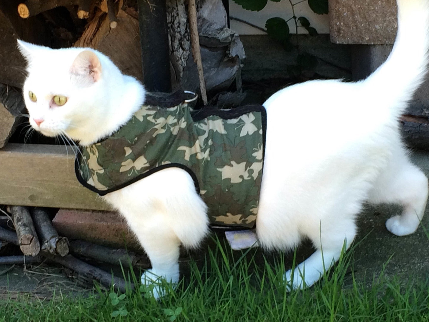 Kitty Holster Cat Harness (Made in USA)