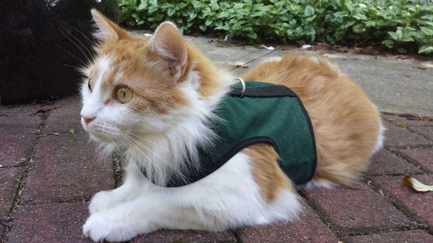 Kitty Holster Cat Harness (Made in USA)