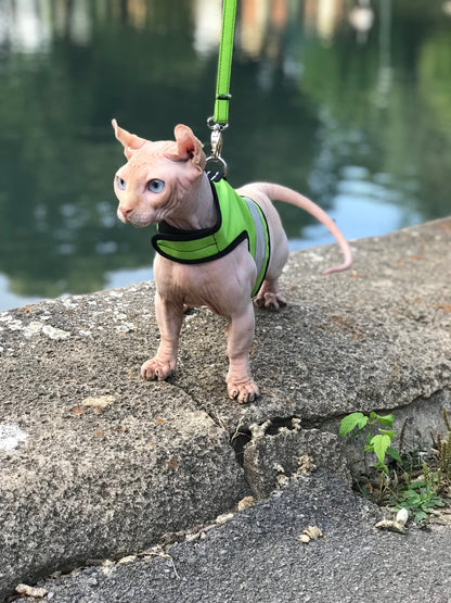 Kitty Holster Reflective Safety Harness (Made in USA)