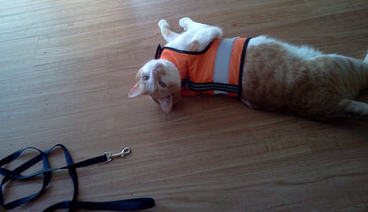 Kitty Holster Reflective Safety Harness (Made in USA)