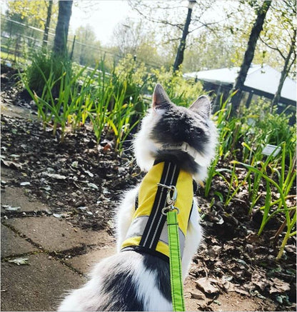 Kitty Holster Reflective Safety Harness (Made in USA)
