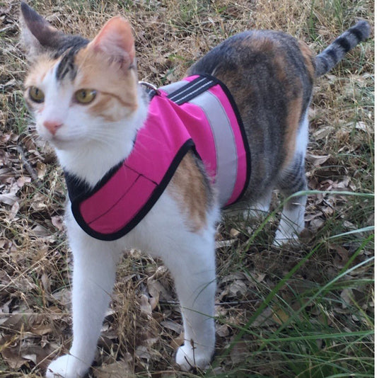 Kitty Holster Reflective Safety Harness (Made in USA)