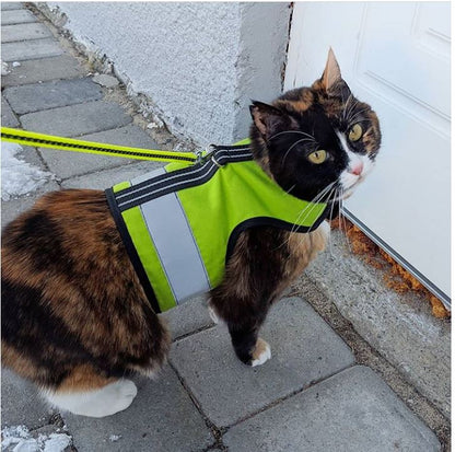 Kitty Holster Reflective Safety Harness (Made in USA)