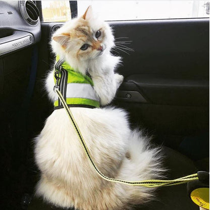Kitty Holster Reflective Safety Harness (Made in USA)