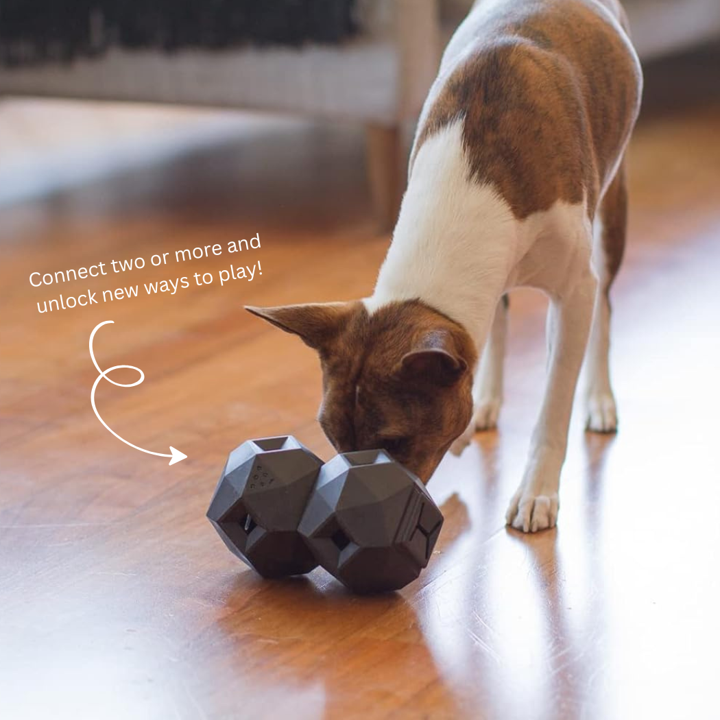 The Odin Treat Dispensing Toy For Dogs - Triathlete Store