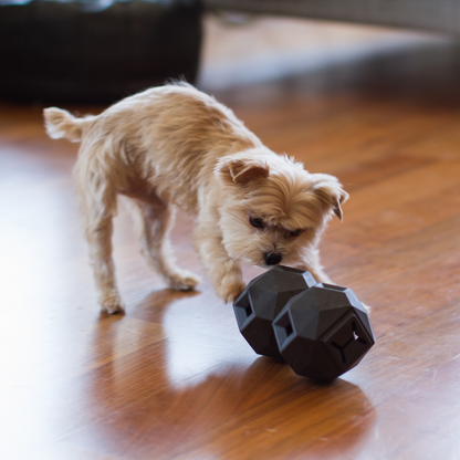 The Odin Treat Dispensing Toy For Dogs - Triathlete Store
