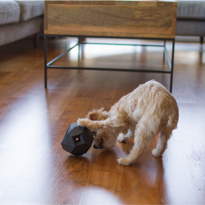 The Odin Treat Dispensing Toy For Dogs - Triathlete Store