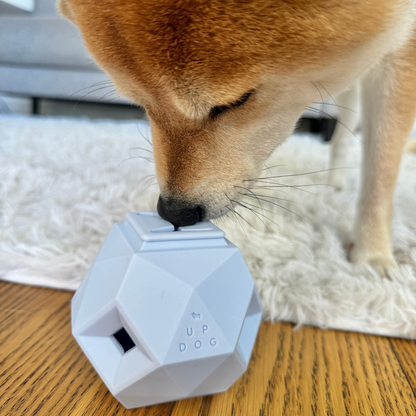 The Odin Treat Dispensing Toy For Dogs - Triathlete Store