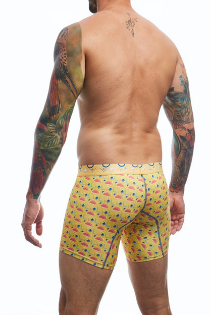 MaleBasics Boxer Brief Hipster