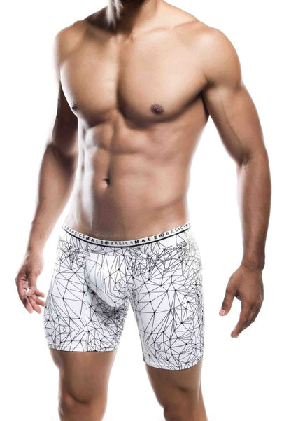 Malebasics New Hipster Boxer Brief Spider