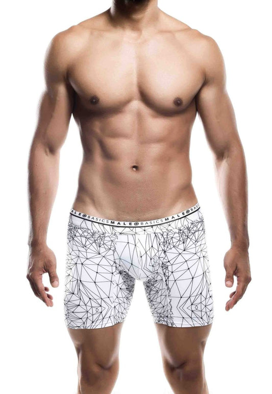 Malebasics New Hipster Boxer Brief Spider