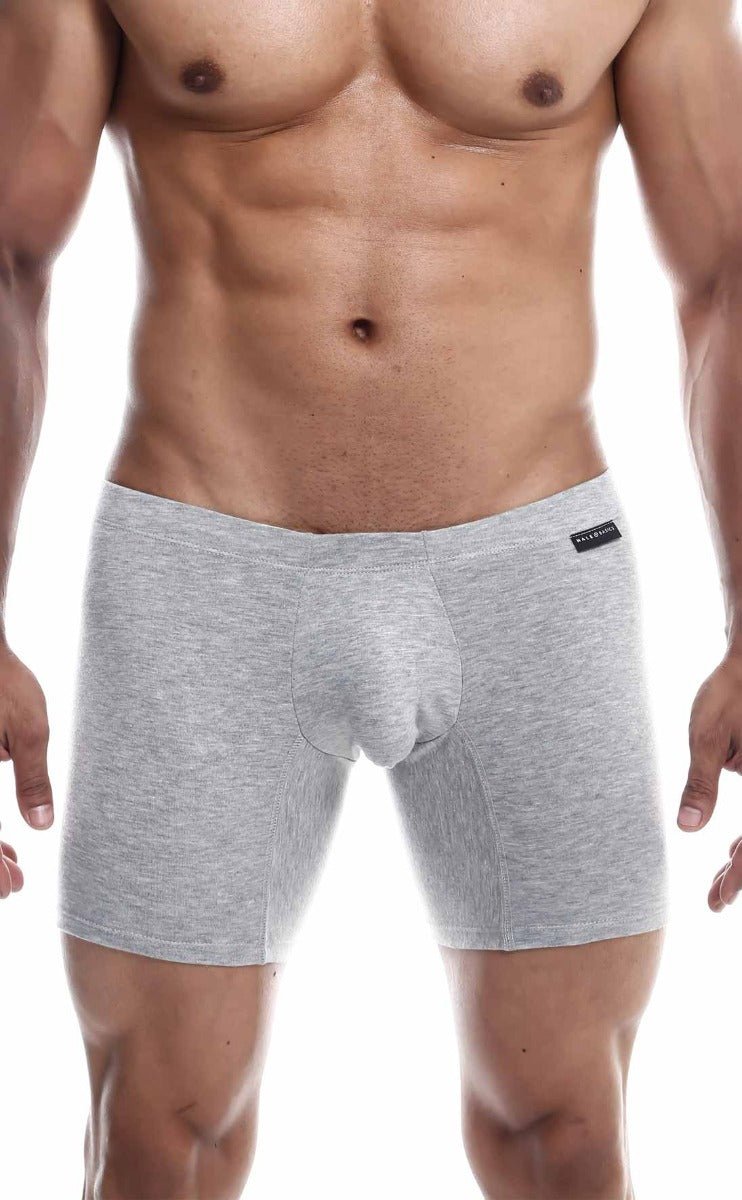 MaleBasics Silver + Boxer Brief