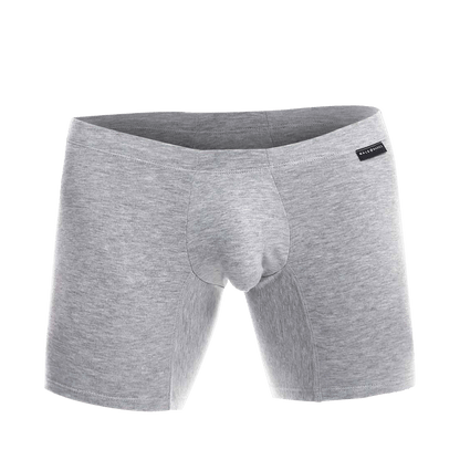 MaleBasics Silver + Boxer Brief
