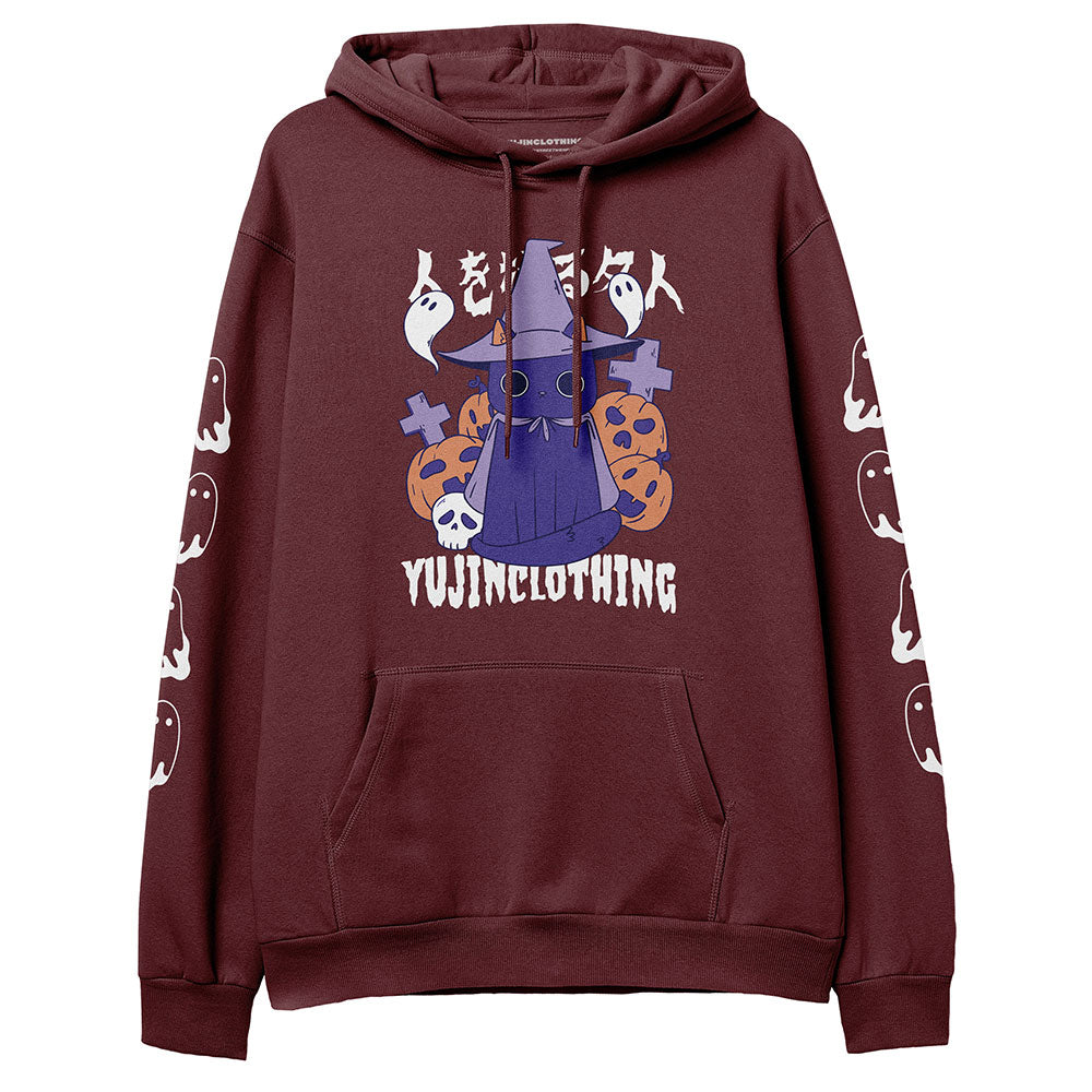 Master Manipulator Cat Hoodie